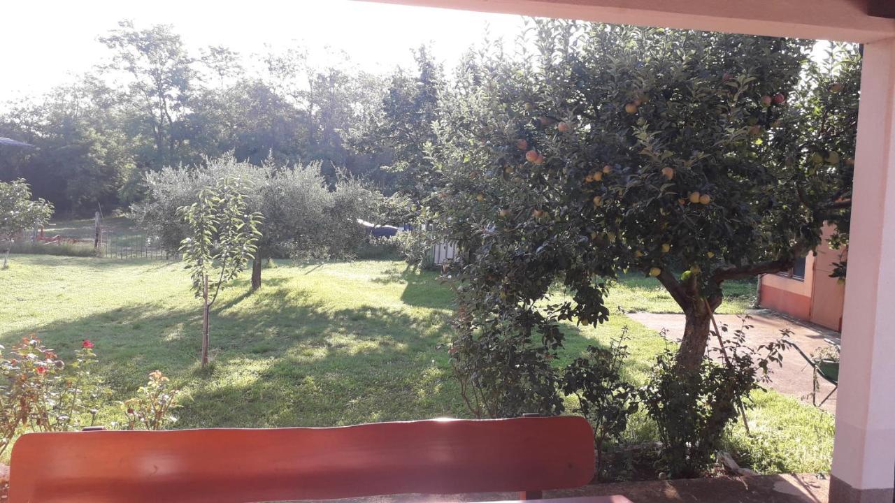 Apartman Lena Umag Luaran gambar