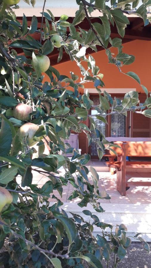 Apartman Lena Umag Luaran gambar